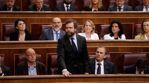 El portavoz de Vox en el Congreso, Iván Espinosa de los Monteros, en la Cámara Baja. EFE/Archivo El portavoz de Vox en el Congreso, Iván Espinosa de los Monteros, en la Cámara Baja. EFE/Archivo