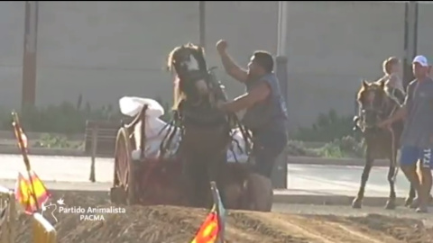 Fotograma del vídeo que PACMA ha penjat a les seves xarxes socials.