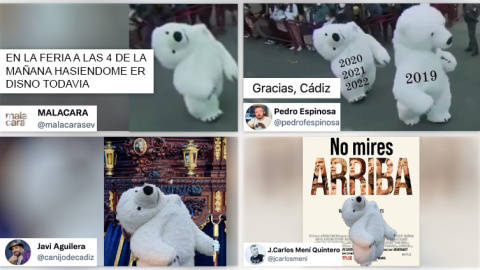 oso-cadiz