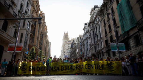 Vista general de la manifestación en defensa de Madrid Central. EFE/David Fernández Vista general de la manifestación en defensa de Madrid Central. EFE/David Fernández