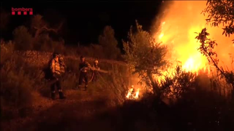 Estabilizan el 90% del incendio en la Ribera del Ebro Estabilizan el 90% del incendio en la Ribera del Ebro