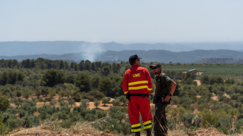 28/06/2019.- Un Agente Rural y un miembro de la Unidad Militar de Emergencias durante las tareas de extinción del fuego en la zona afectada por el incendio de la Ribera d'Ebre (Tarragona). / EFE - MARIO GASCÓN 28/06/2019.- Un Agente Rural y un miembro de la Unidad Militar de Emergencias durante las tareas de extinción del fuego en la zona afectada por el incendio de la Ribera d'Ebre (Tarragona). / EFE - MARIO GASCÓN