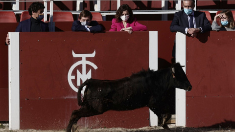 El alcalde de Madrid, José Luis Martínez-Almeida, y la presidenta de la Comunidad de Madrid, Isabel Díaz Ayuso durante una visita a la escuela regional de tauromaquia de la Venta de Batán. El alcalde de Madrid, José Luis Martínez-Almeida, y la presidenta de la Comunidad de Madrid, Isabel Díaz Ayuso durante una visita a la escuela regional de tauromaquia de la Venta de Batán.