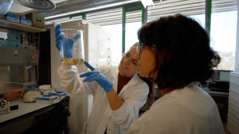 Nuestra entrevistada, Alicia Bruzos, en el Centro de Medicina Molecular del CiMUS (España). Nuestra entrevistada, Alicia Bruzos, en el Centro de Medicina Molecular del CiMUS (España).