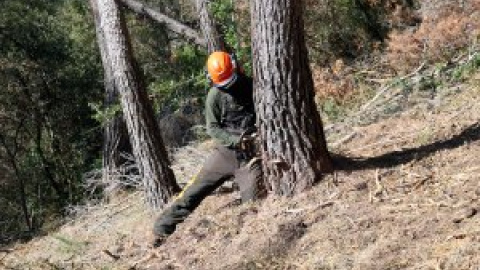 La sequera fa preveure la campanya d'incendis més complicada dels últims 30 anys La sequera fa preveure la campanya d'incendis més complicada dels últims 30 anys