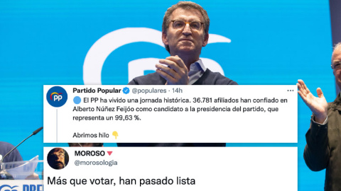 feijoo