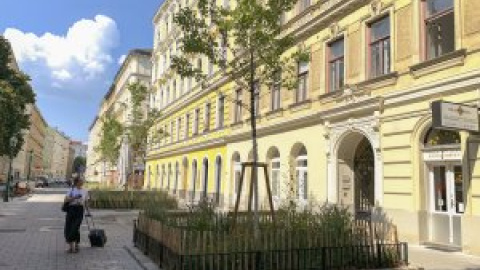 Viena planta 4.500 árboles al año para combatir la crisis climática Viena planta 4.500 árboles al año para combatir la crisis climática