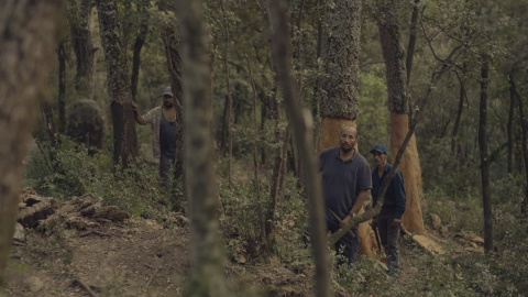 Una secuencia de la película 'Suro'. Una secuencia de la película 'Suro'.