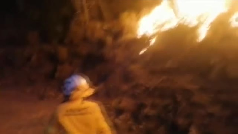 900 efectivos trabajan sin descanso en el devastador fuego de Sierra Bermeja, en Málaga, que sigue avanzando sin control 900 efectivos trabajan sin descanso en el devastador fuego de Sierra Bermeja, en Málaga, que sigue avanzando sin control