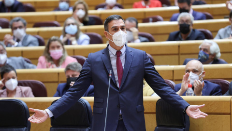 Sánchez: "El diálogo va a ser largo y para evitar frustraciones, evitemos ponernos plazos" Sánchez: "El diálogo va a ser largo y para evitar frustraciones, evitemos ponernos plazos"