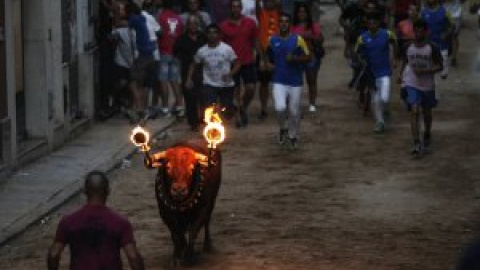 Golpes de calor, ahogamientos y descargas eléctricas: los toros sufren un verano más la barbarie de las fiestas patronales Golpes de calor, ahogamientos y descargas eléctricas: los toros sufren un verano más la barbarie de las fiestas patronales