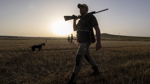 Un cazador, durante una jornada de caza el primer día de inicio de la media veda en Castilla y León. Un cazador, durante una jornada de caza el primer día de inicio de la media veda en Castilla y León.