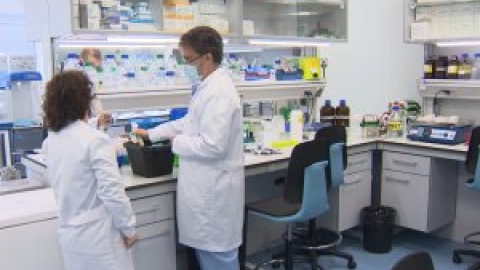 La OMS advierte de que actualmente ningún país puede almacenar la vacuna de Pfizer La OMS advierte de que actualmente ningún país puede almacenar la vacuna de Pfizer