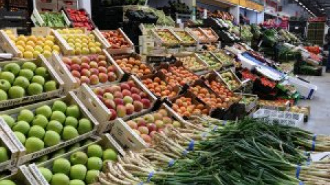 Un 40% de peix i un 20% de fruita menys a Mercabarna per la vaga de transportistes Un 40% de peix i un 20% de fruita menys a Mercabarna per la vaga de transportistes