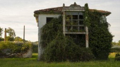 La vida que nace del abandono: entre ruinas de fábricas y casas La vida que nace del abandono: entre ruinas de fábricas y casas