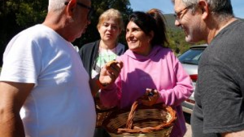 8 consells imprescindibles per buscar i collir bolets a Catalunya 8 consells imprescindibles per buscar i collir bolets a Catalunya