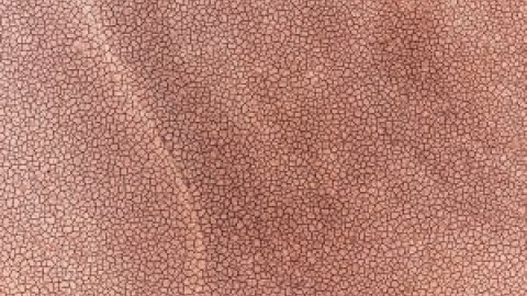 ¿Cuáles son las consecuencias de una gran sequía en Europa? ¿Cuáles son las consecuencias de una gran sequía en Europa?