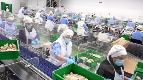 El PIB crece un 0,8% en el segundo trimestre El PIB crece un 0,8% en el segundo trimestre