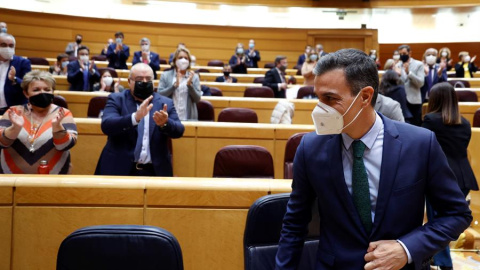 Pedro Sánchez Senado Pedro Sánchez Senado