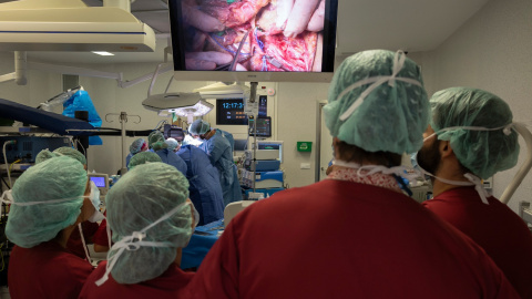 Trasplantament de cara a Bellvitge. Trasplantament de cara a Bellvitge.