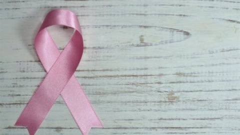 Lazo rosa Lazo rosa