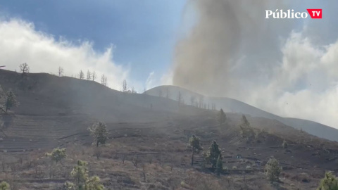 Evacuaciones en La Palma: así se ayuda a quienes tienen que abandonar sus casas Evacuaciones en La Palma: así se ayuda a quienes tienen que abandonar sus casas