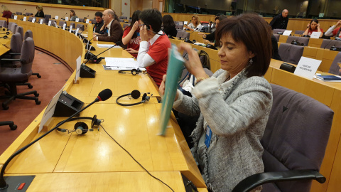 La sevillana Silvia Oñate, ante la Comisión de Peticiones del Parlamento Europeo. La sevillana Silvia Oñate, ante la Comisión de Peticiones del Parlamento Europeo.