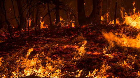 Incendio forestal próximo a la localidad cántabra de Aes. El número de incendios activos en Cantabria ha bajado a 17 y los puntos más preocupantes están en Penagos, Aes (Puente Viesgo), Bárcena Mayor (Los Tojos) y Cosío (Rionansa). A las 7.00 horas