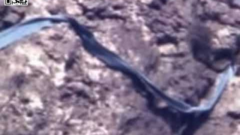 Mundos descosidos Mundos descosidos