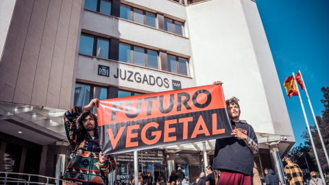Dos miembros de Futuro Vegetal protestan contra la criminalización del ecologismo ante los Juzgados de Plaza de Castilla (Madrid), a 13 de abril de 2023. Dos miembros de Futuro Vegetal protestan contra la criminalización del ecologismo ante los Juzgados de Plaza de Castilla (Madrid), a 13 de abril de 2023.