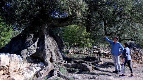 29-12-2022 29-12-2022