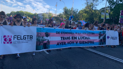 Pancarta de la FELGTB con el lema de "De Stonewall a la ley LGTBI: Trans en lucha ayer, hoy y siempre". /ESTEFANÍA ROSELLÓ Pancarta de la FELGTB con el lema de "De Stonewall a la ley LGTBI: Trans en lucha ayer, hoy y siempre". /ESTEFANÍA ROSELLÓ