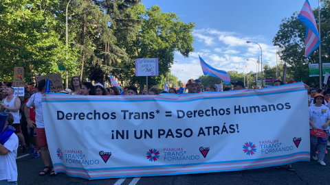 Pancarta de la asociación de familias Trans*formando en la manifestación del Orgullo 2019. /ESTEFANÍA ROSELLÓ Pancarta de la asociación de familias Trans*formando en la manifestación del Orgullo 2019. /ESTEFANÍA ROSELLÓ