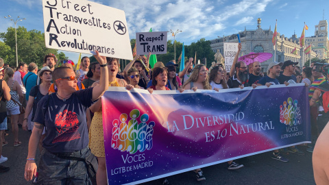 Pancarta de la asociación Voces LGTB de Madrid en el Orgullo 2019. /ESTEFANÍA ROSELLÓ Pancarta de la asociación Voces LGTB de Madrid en el Orgullo 2019. /ESTEFANÍA ROSELLÓ