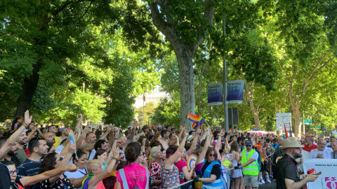 Miles de personas siguen la manifestación del Orgullo 2019 desde los laterales del Paseo del Prado de Madrid. /ESTEFANÍA ROSELLÓ Miles de personas siguen la manifestación del Orgullo 2019 desde los laterales del Paseo del Prado de Madrid. /ESTEFANÍA ROSELLÓ