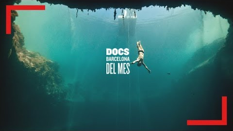 Imagina cómo sería ser un delfín