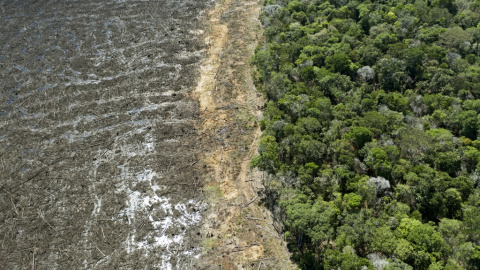 Vista área de la selva amazónica deforestada. Vista área de la selva amazónica deforestada.