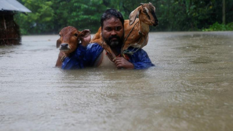 Un hombre lleva en sus hombros a una vaca y una cabra en medio de las inundaciones en la aldea de Topa, en el distrito de Saptari, Nepal. EFE/EPA/NARENDRA SHRESTHA
