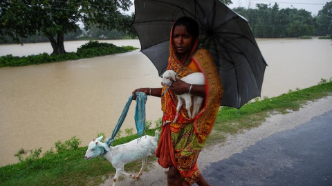 Una mujer lleva a dos cabras en medio de las inundaciones de la aldea de Topa en el distrito de Saptari, Nepal. EFE/EPA/NARENDRA SHRESTHA