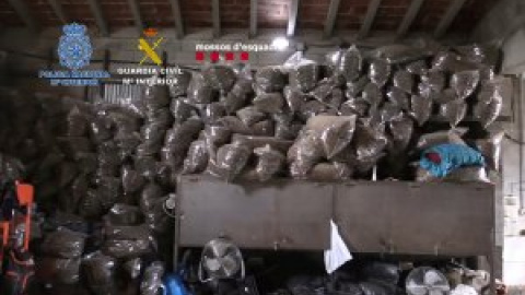 Requisadas casi 52 toneladas de marihuana en Barcelona y Tarragona Requisadas casi 52 toneladas de marihuana en Barcelona y Tarragona