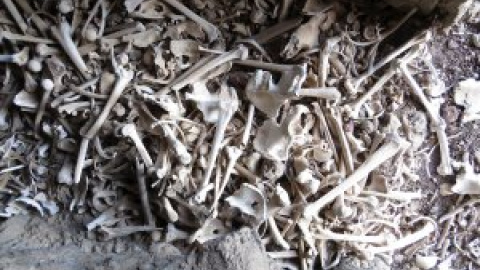 Hallan en Gran Canaria una cueva funeraria prehispánica con unos 80 cuerpos Hallan en Gran Canaria una cueva funeraria prehispánica con unos 80 cuerpos