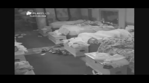 A Fazenda 13 A Fazenda 13