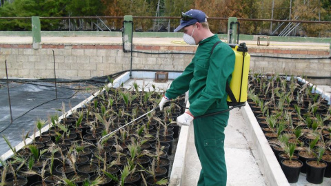 Trabajador de uno de los centros especiales de empleo que recibió las ayudas el pasado año, Fundown Plant. Trabajador de uno de los centros especiales de empleo que recibió las ayudas el pasado año, Fundown Plant.