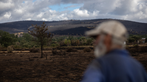 Un hombre mira el estado de la zona de Cabañas de Aliste tras el incendio sofocado hace dos días e iniciado el pasado día 15 en la Sierra de la Culebra, a 21 de junio de 2022, en Cabañas de Aliste, Zamora. Un hombre mira el estado de la zona de Cabañas de Aliste tras el incendio sofocado hace dos días e iniciado el pasado día 15 en la Sierra de la Culebra, a 21 de junio de 2022, en Cabañas de Aliste, Zamora.