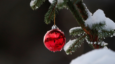 Detalle de un árbol de Navidad. / REUTERS - RUSSELL CHEYNE Detalle de un árbol de Navidad. / REUTERS - RUSSELL CHEYNE