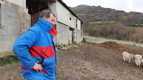 Rafelet Casal, fotografiado junto a sus vacas en Castanesa. Rafelet Casal, fotografiado junto a sus vacas en Castanesa.