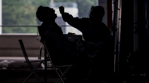 Imagen de una realización de un test PCR Imagen de una realización de un test PCR