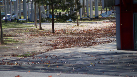 17/01/2023 - Un parc a la zona del Fòrum de Barcelona afectat pel vent. 17/01/2023 - Un parc a la zona del Fòrum de Barcelona afectat pel vent.