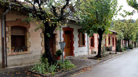 Vista general d'una de les colònies de Borgonyà