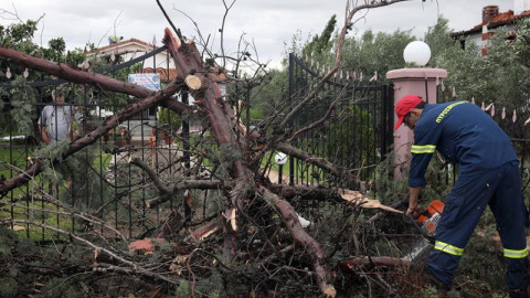 Un bombero corta un árbol que se ha caído por el viento en Sozopolis, Chalkidiki, en el norte de Grecia. EFE/EPA/VERVERIDIS VASSILIS